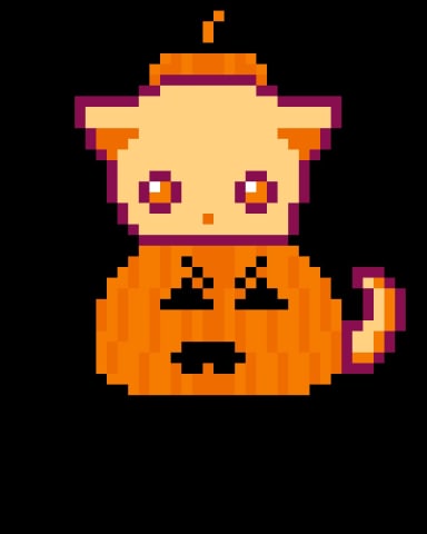 Pumpkin 🎃 Cat