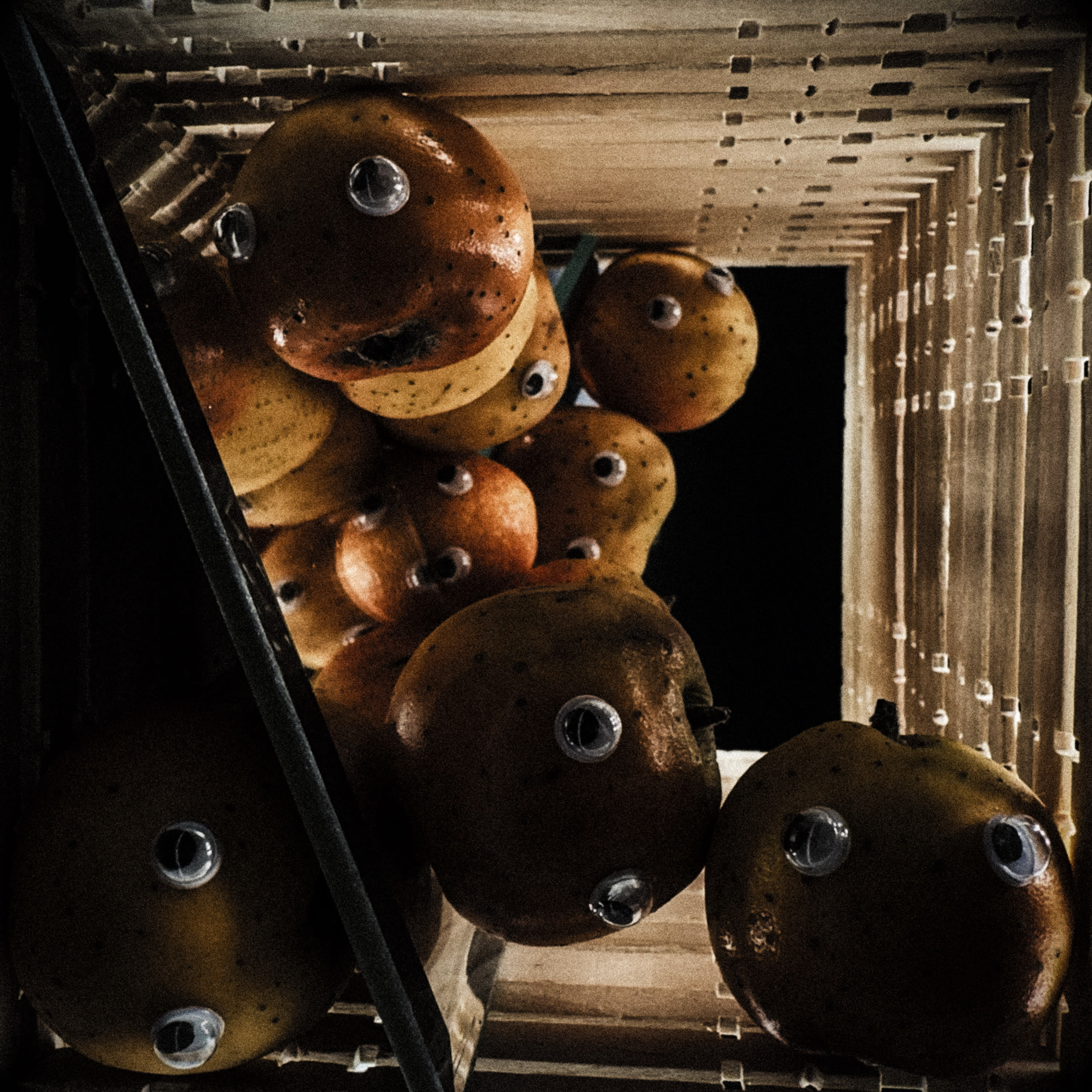 Muddled Kumquattery