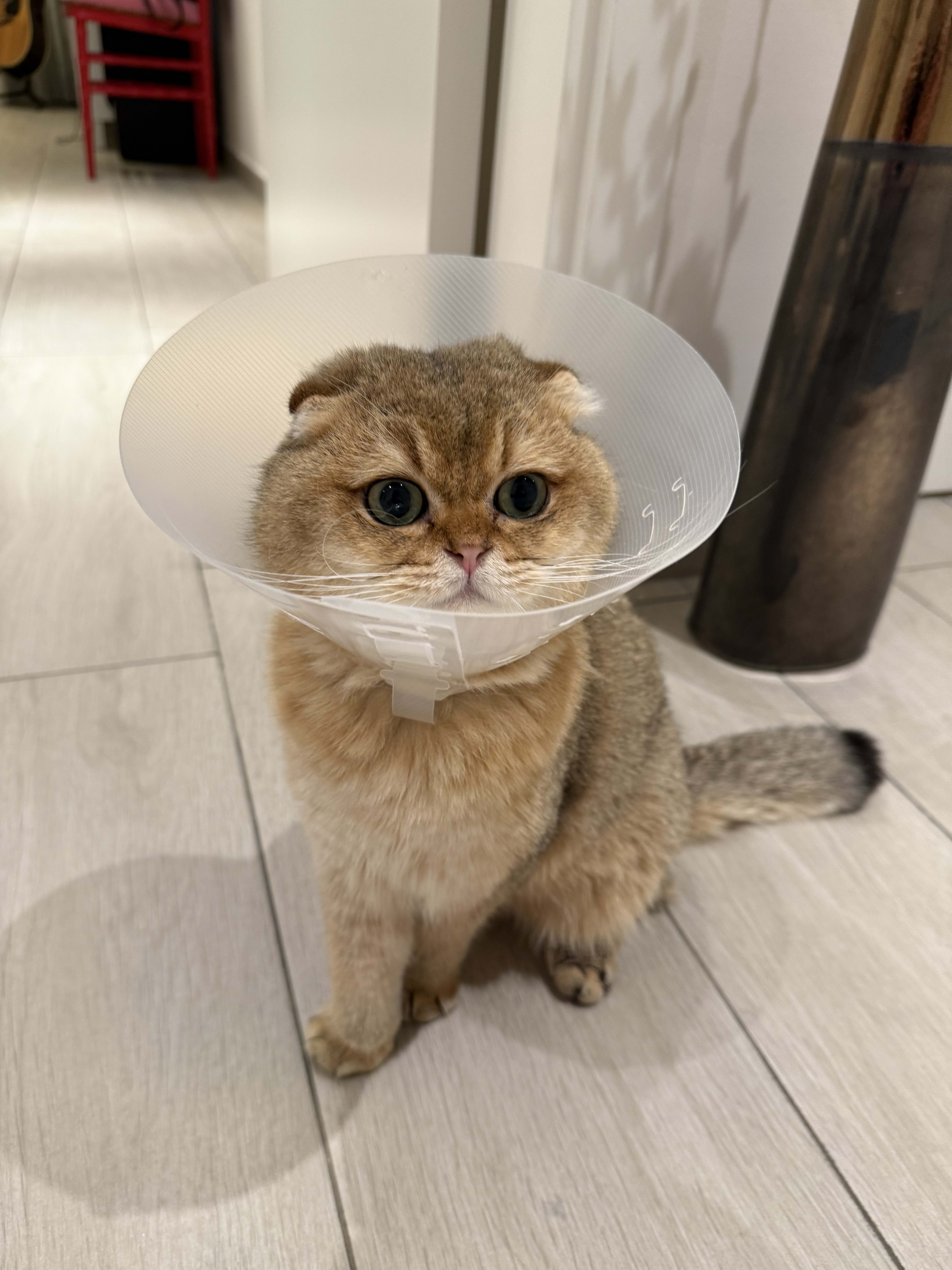 Lampshade
