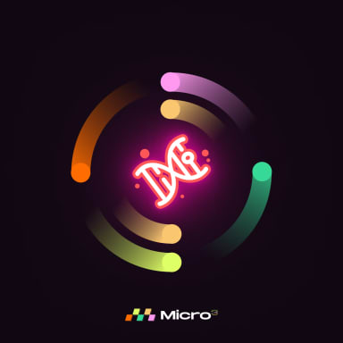 Introduction to Micro3