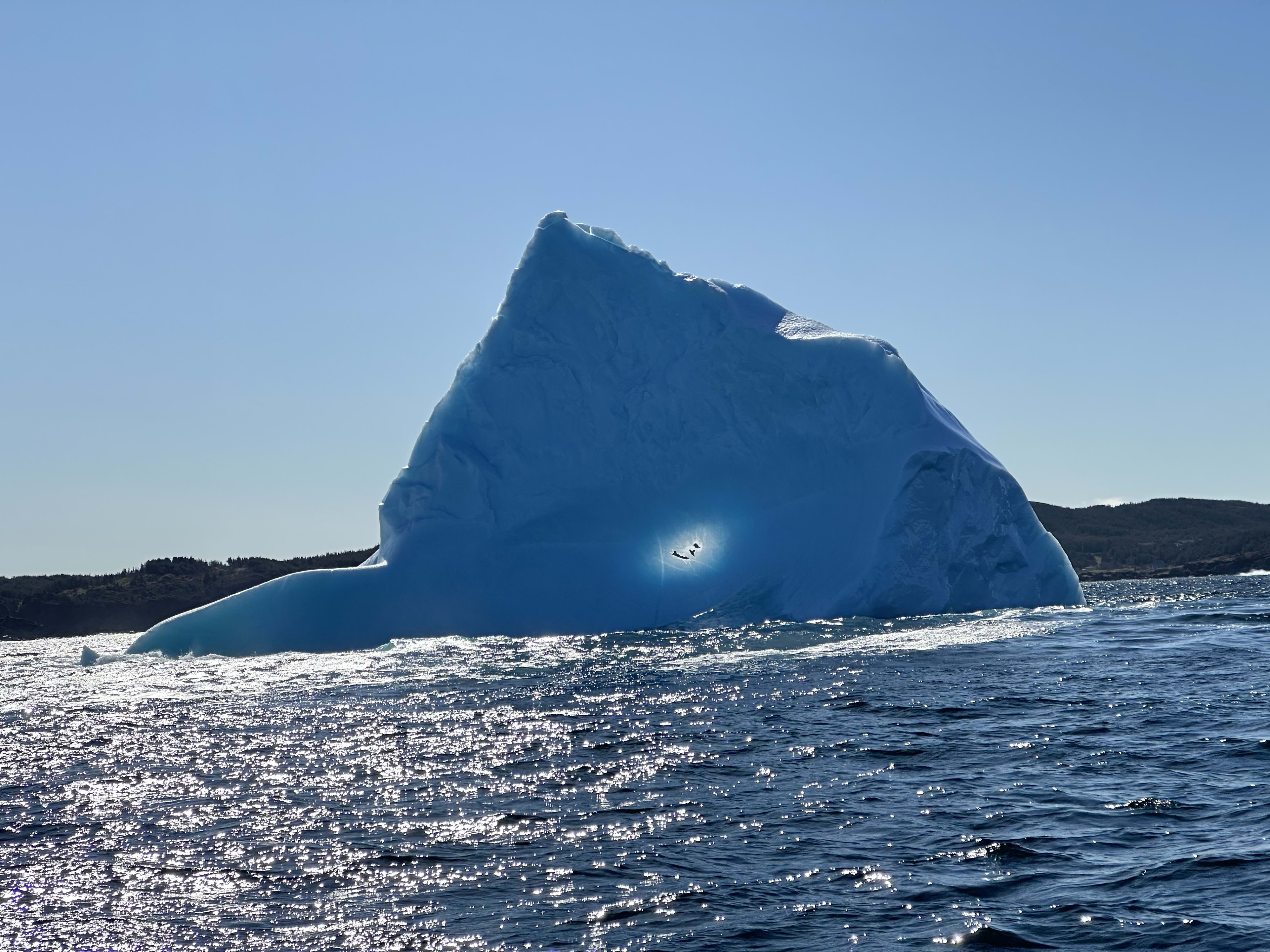 Icebergs #1
