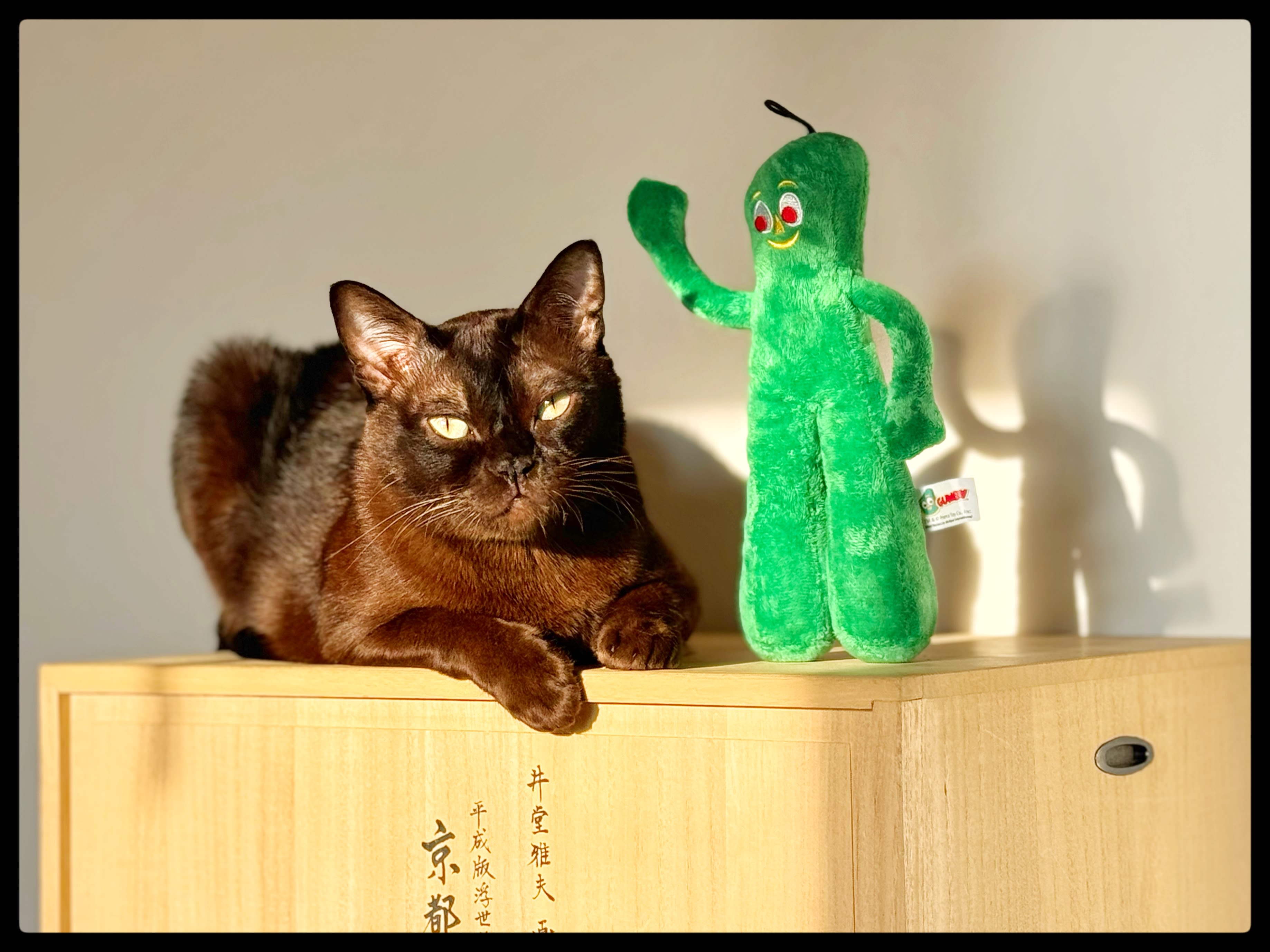 Luca and Gumby