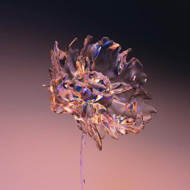 Flora in Frequency (still)