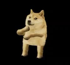 Dancing Doge