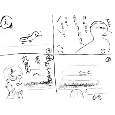 頭隠して尻隠さず