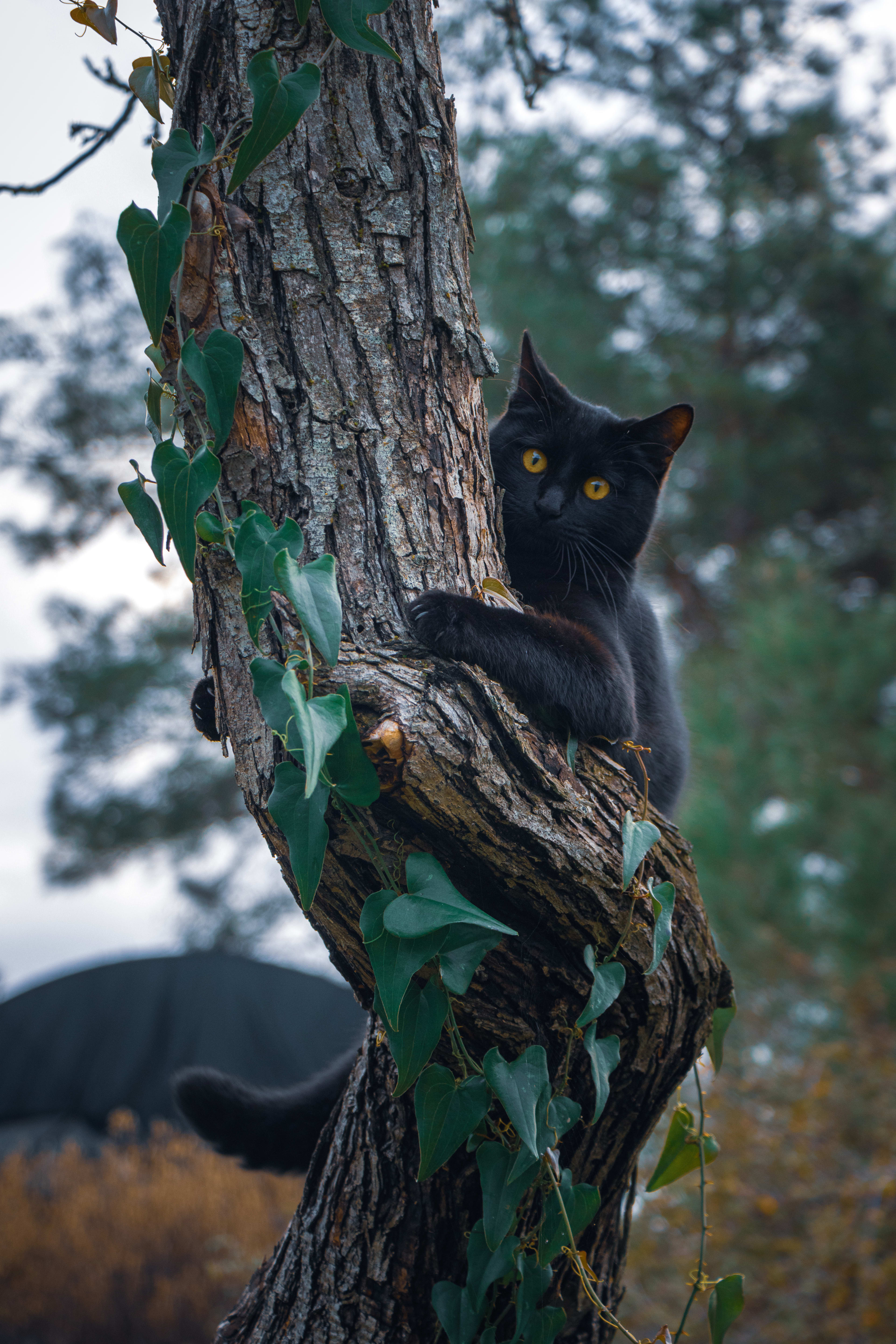 Watching you