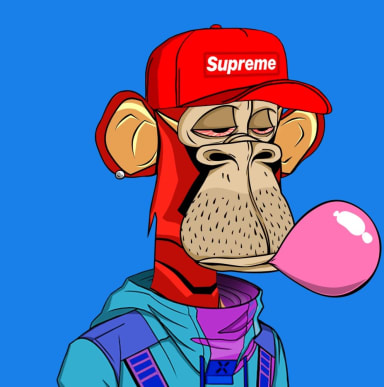 Macaquinho Supreme