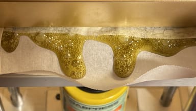Goopen Golden #1