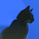 Based Kitty 8431