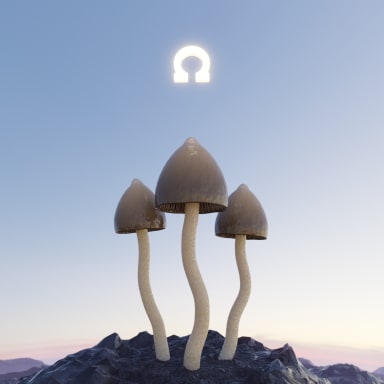 Liberty Cap Mushrohm