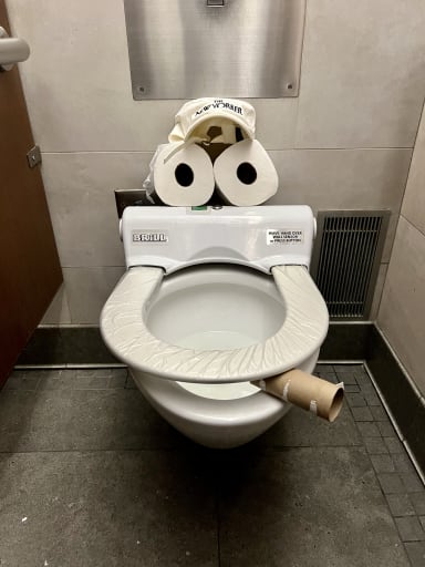Pepe Toilets NYC #54