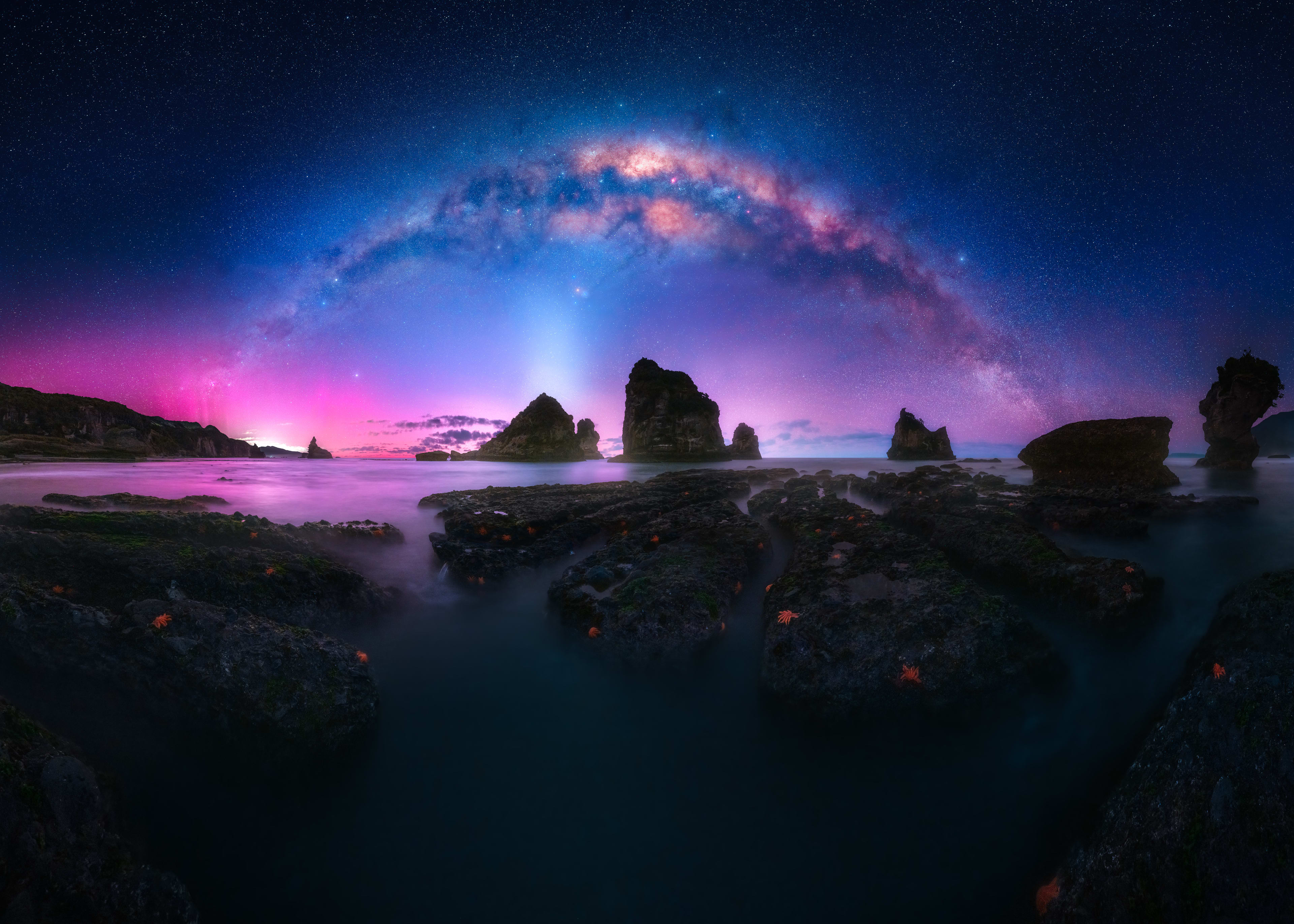 Stars of the Sea
