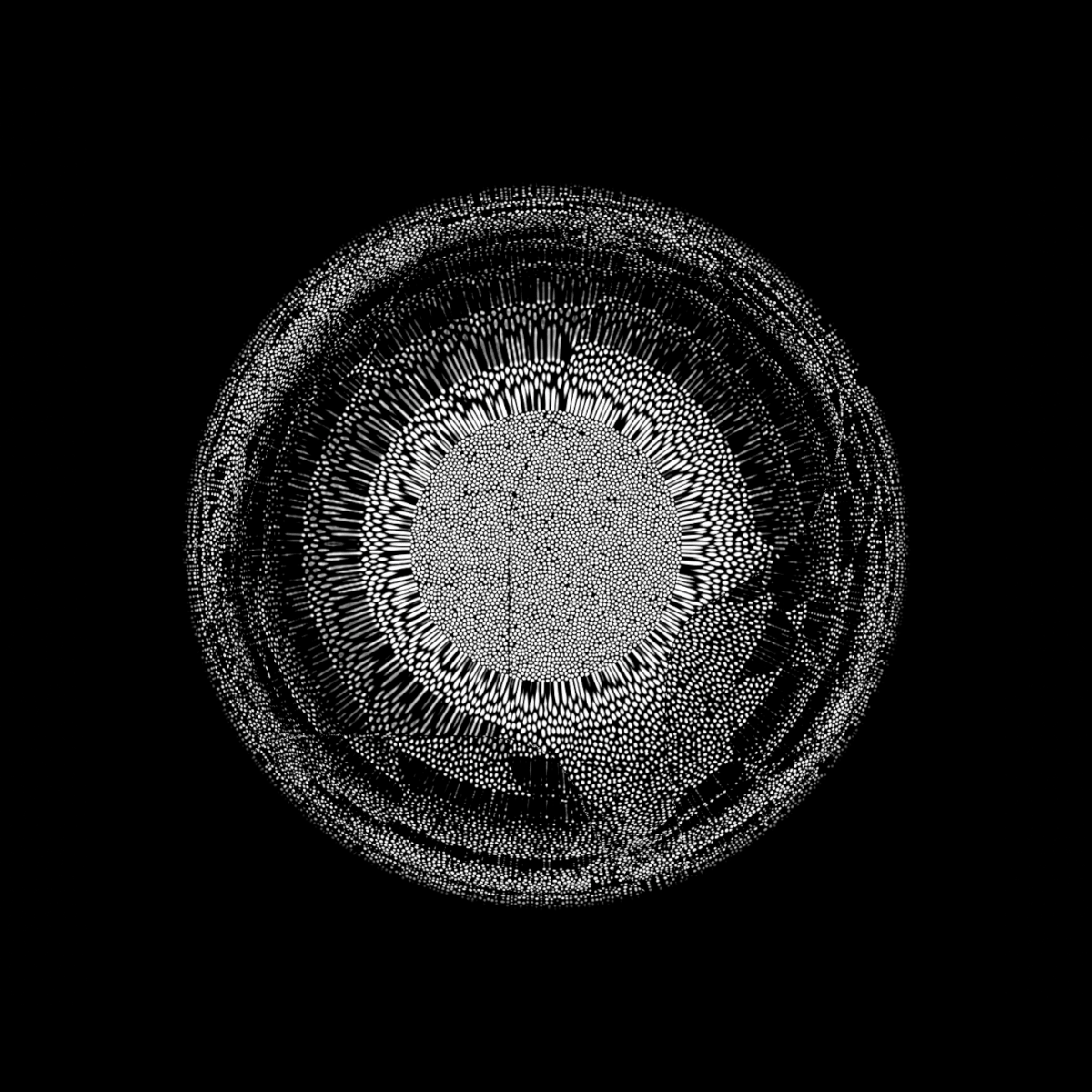ddrtst/frms #1