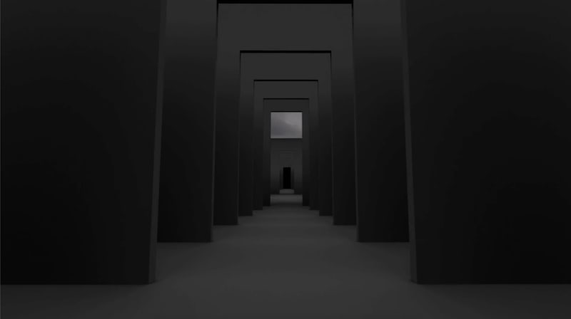 Coal