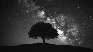 I Have Seen Million Nights