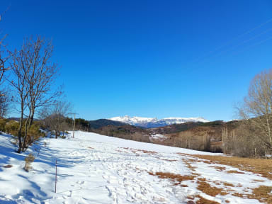 snow and straw #2