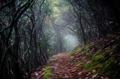 The Way Forward