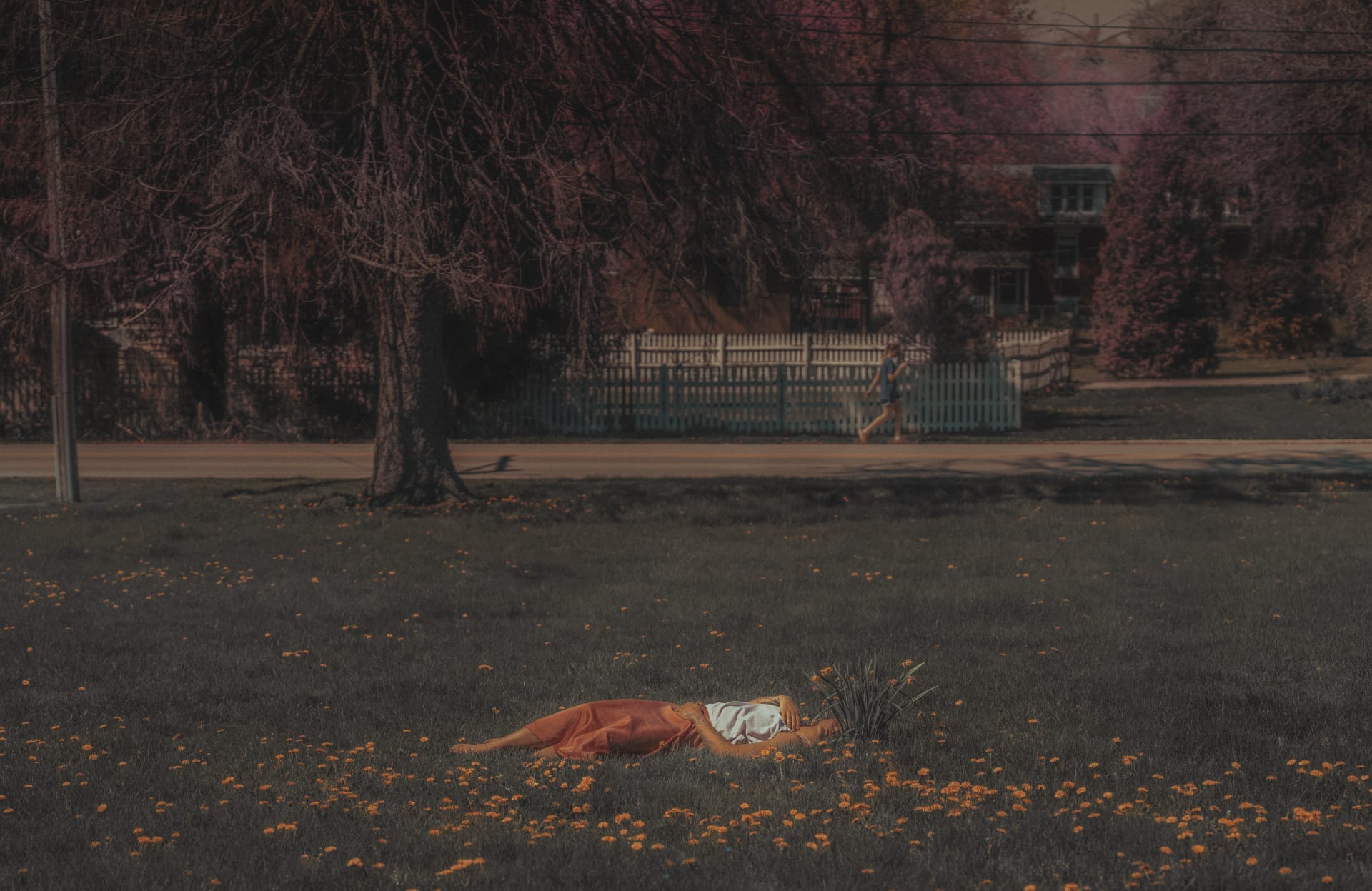 As I Wilt - Alizé Jireh