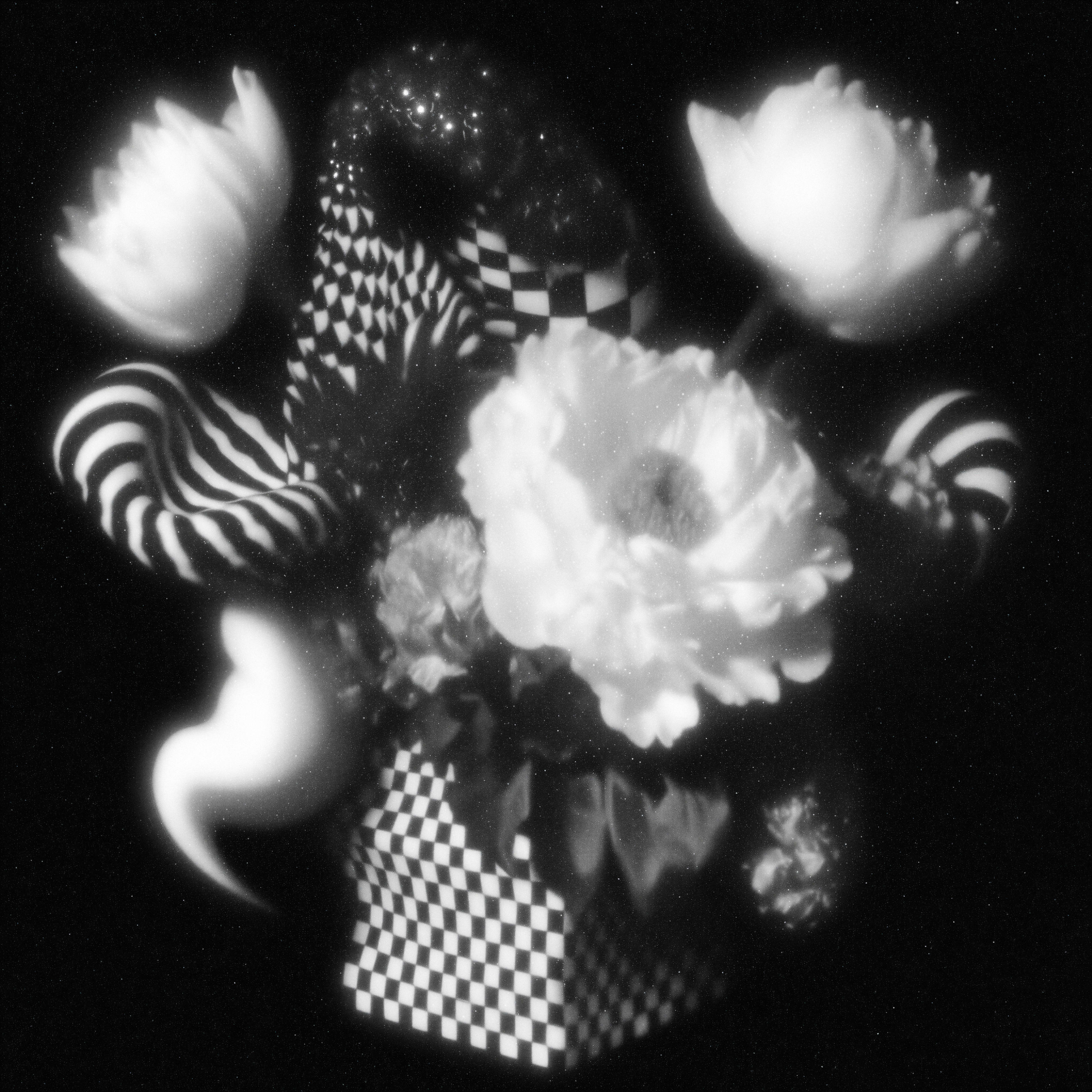 Petals Dissolving Into Spirals