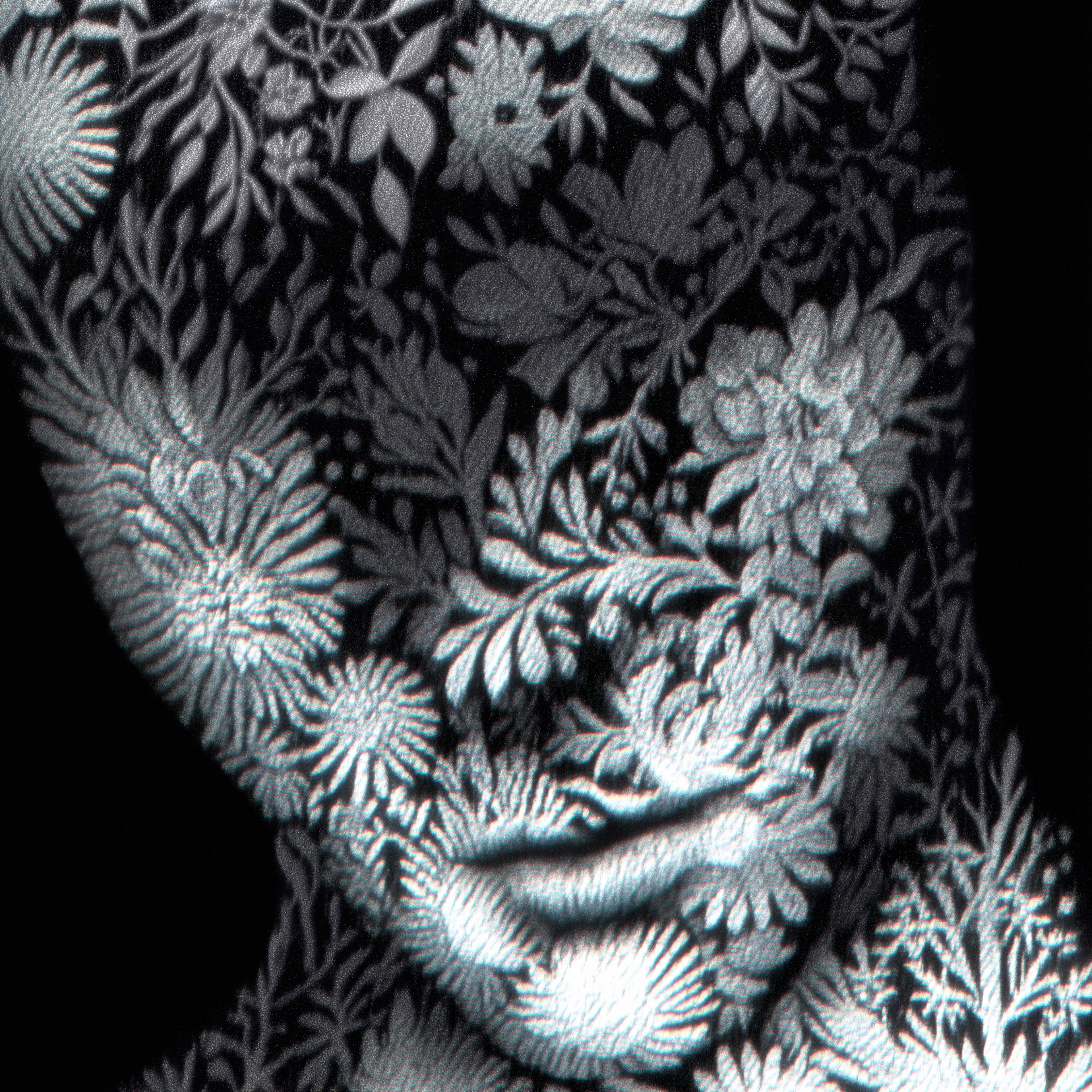 The Memory Of Skin