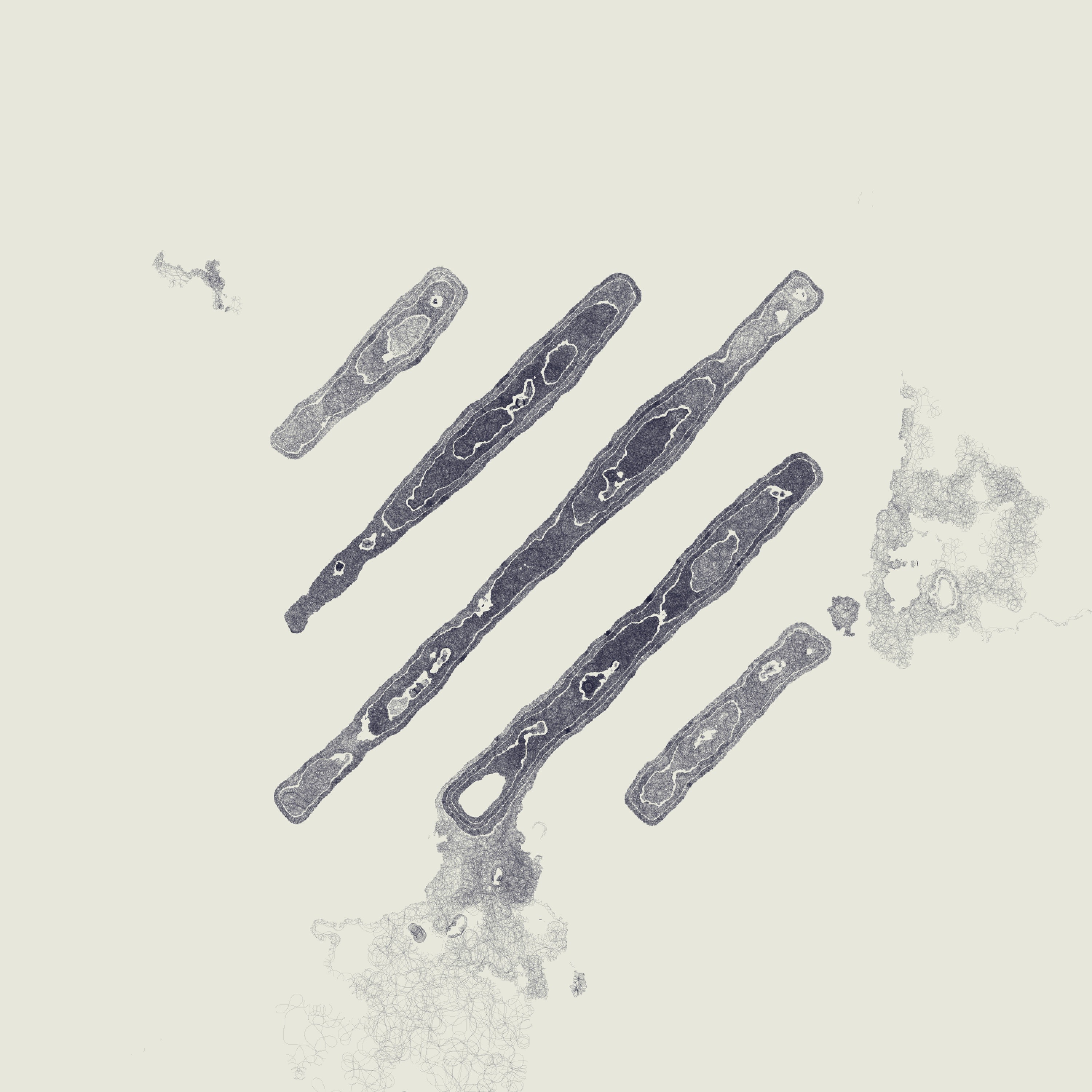 Decal by Kjetil Golid #52