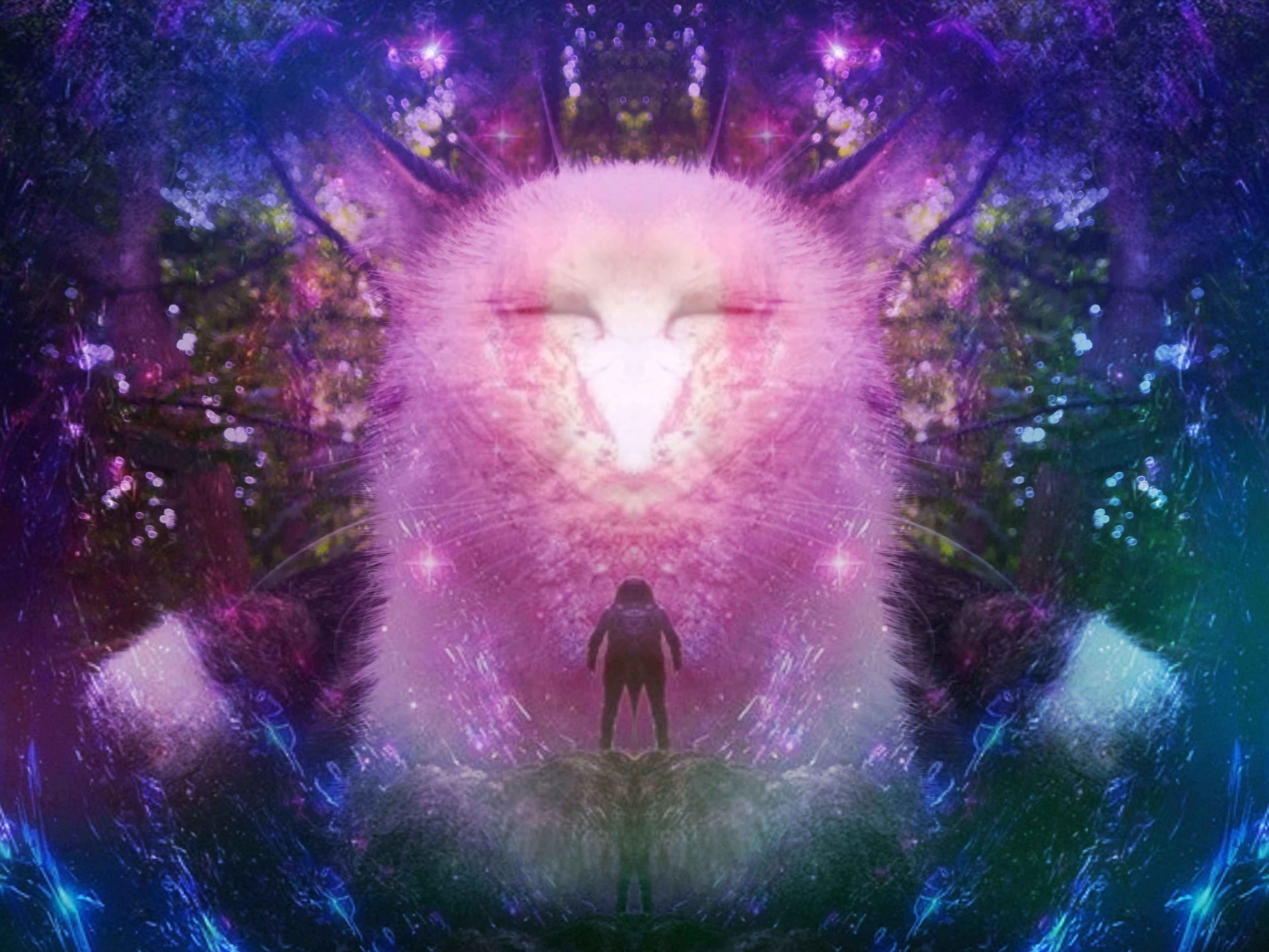 legend self : minds dreamlike