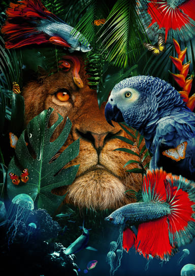 NATURE