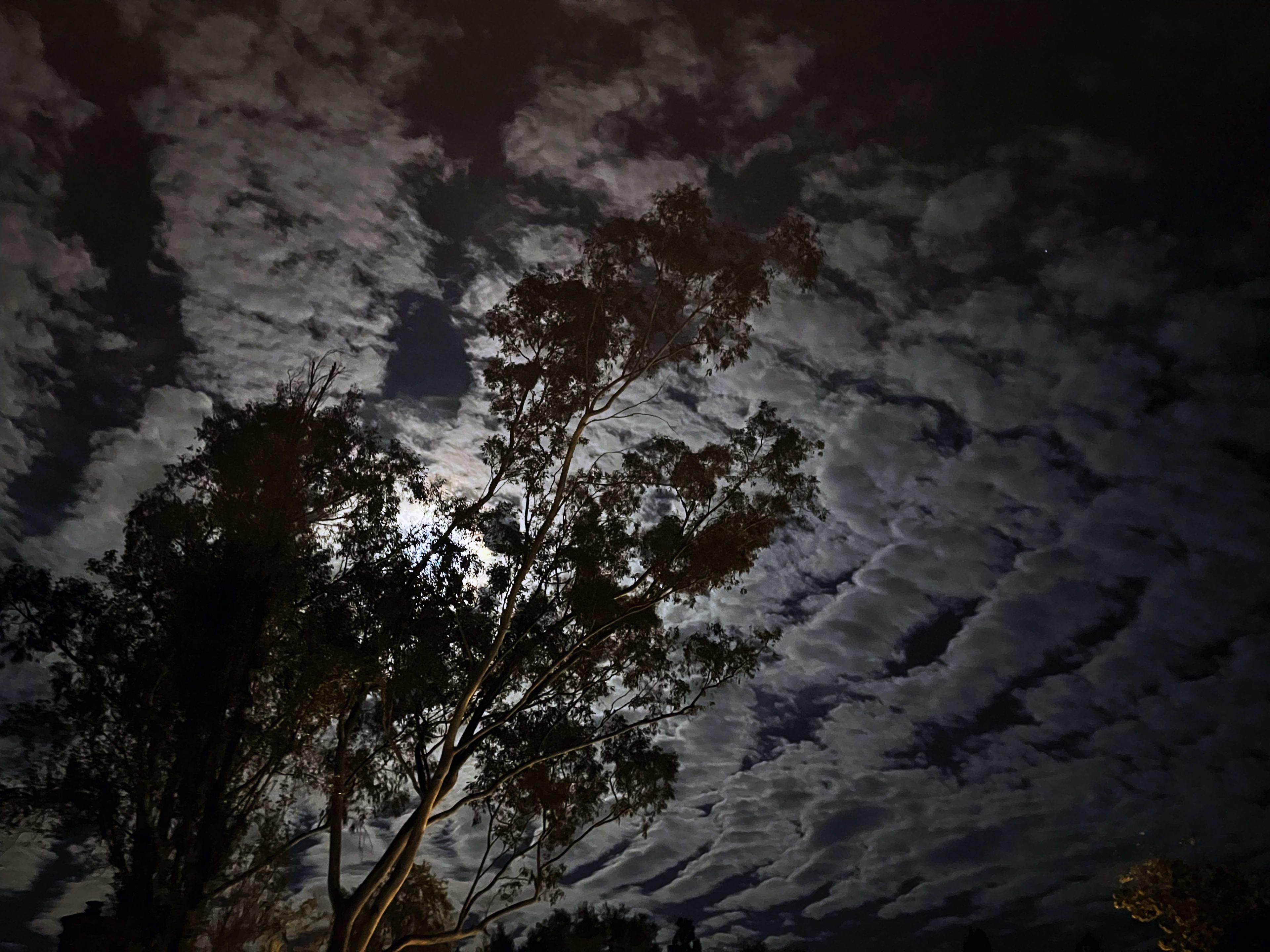 Midnight in The Mountain.
