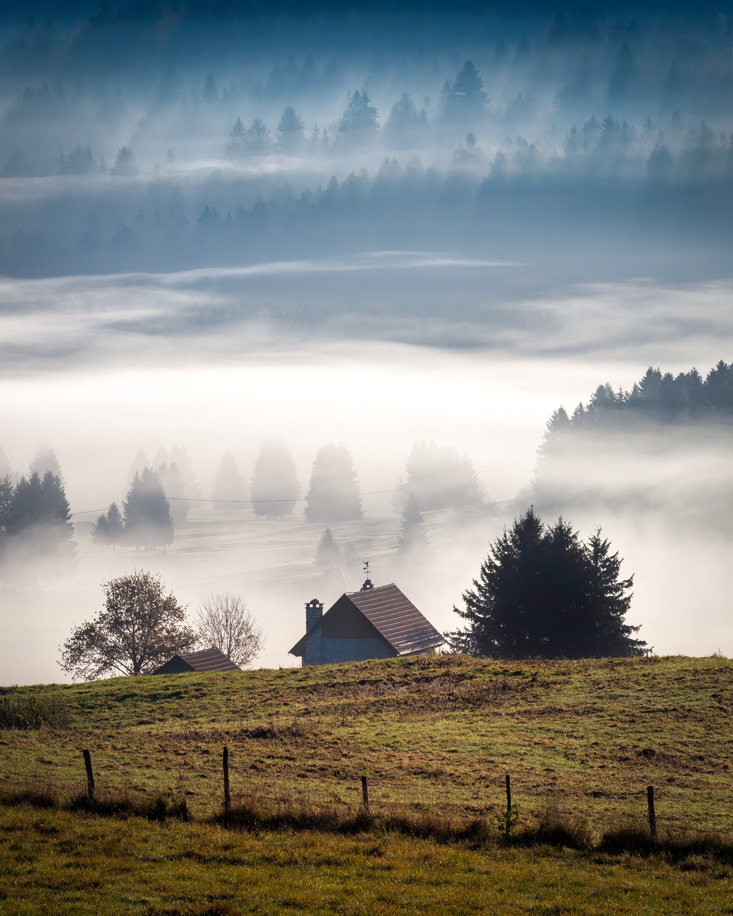 Free Claim Editions: Nature Composition #2