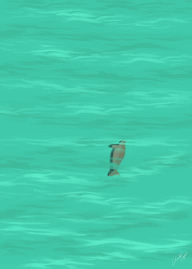Sea Cow
