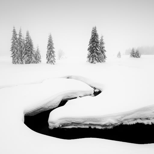 Sound of Silence #11