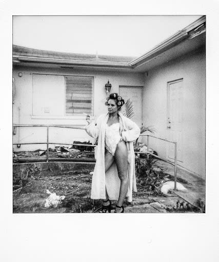 Gummo Land 5
