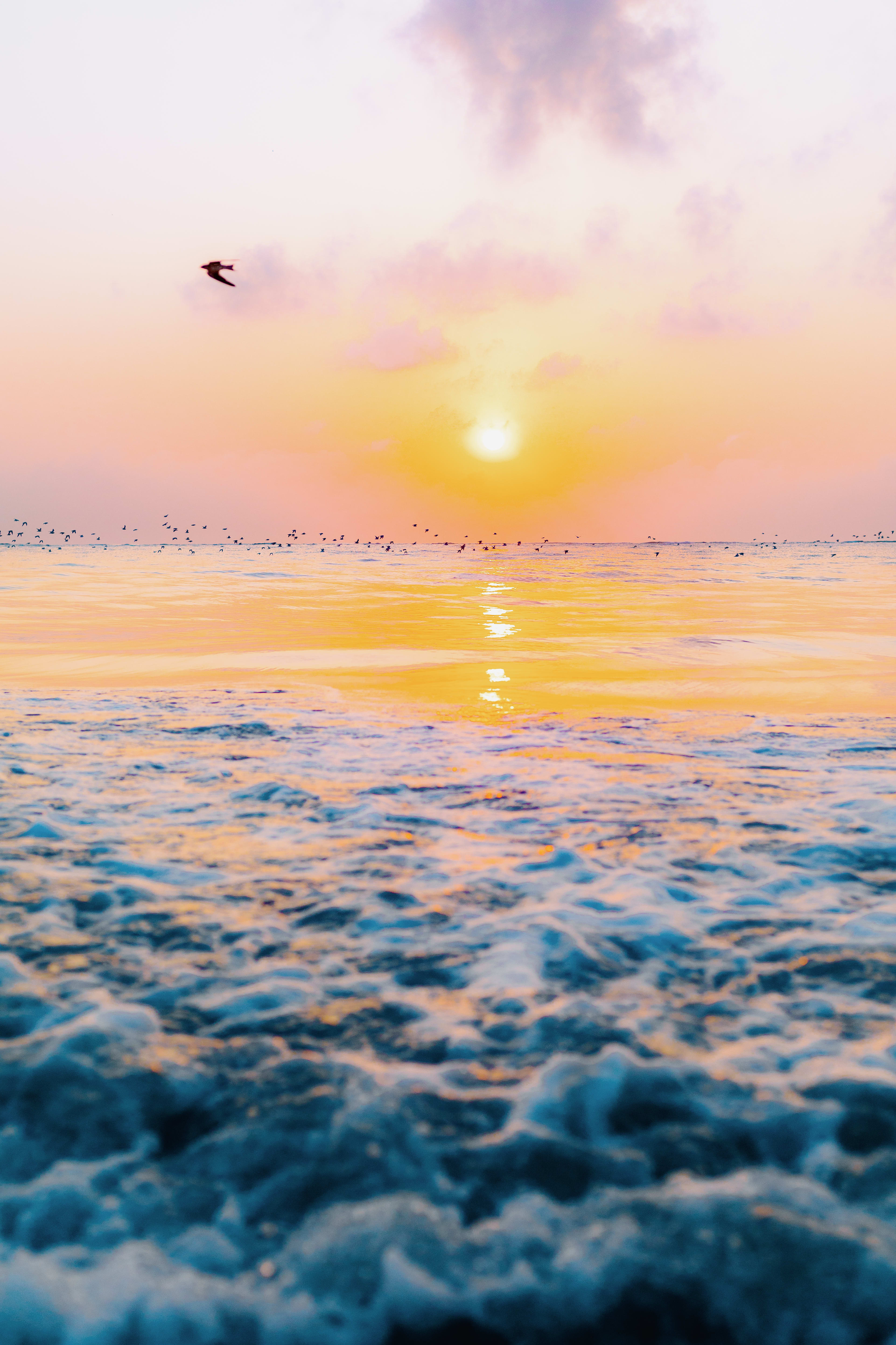 Tale #005: The Migration