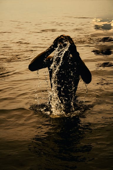 IMMERSED IN SOLITUDE