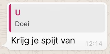 NFT fomo in Dutch