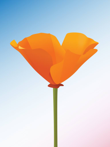 Copa de Oro