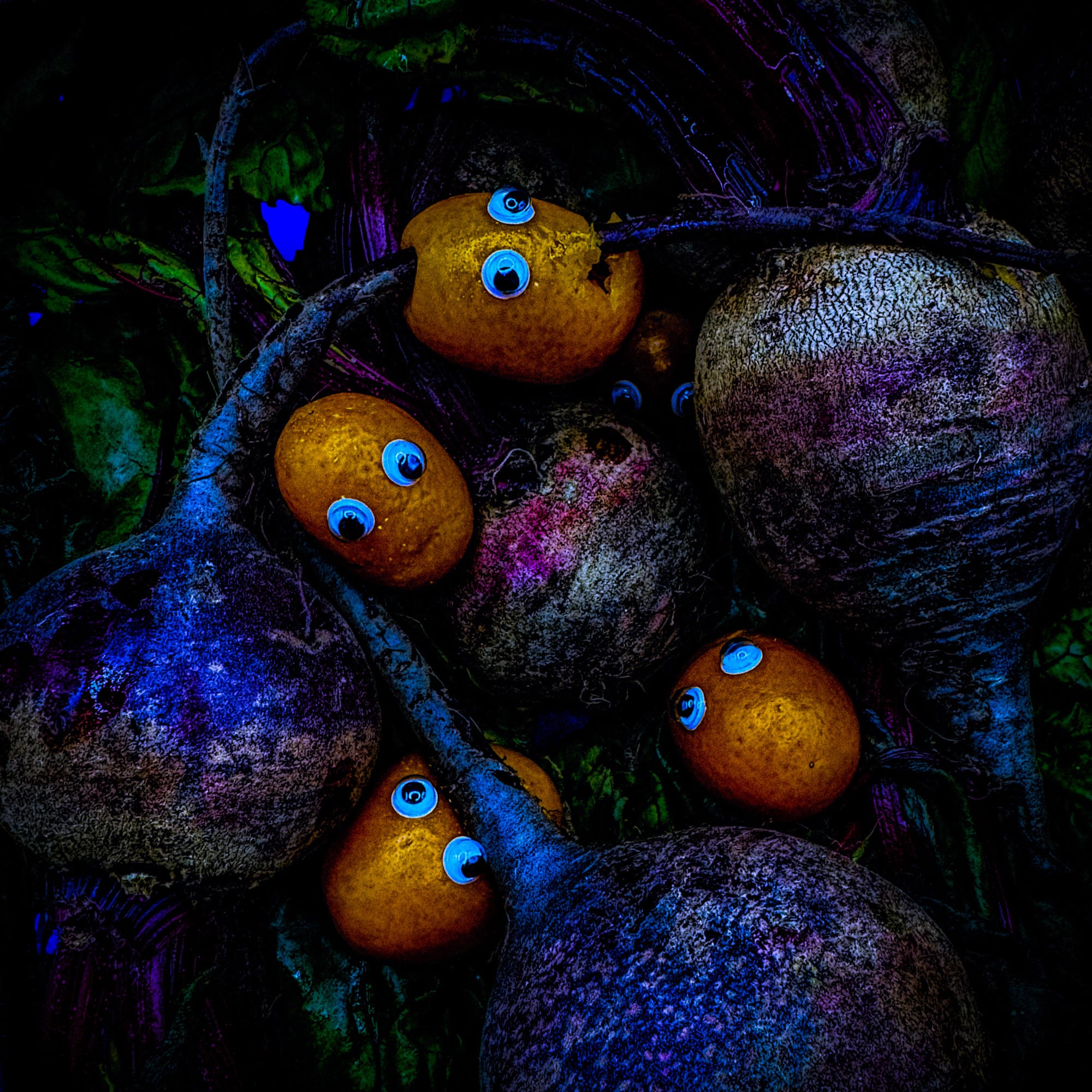 Beet Kumquattery