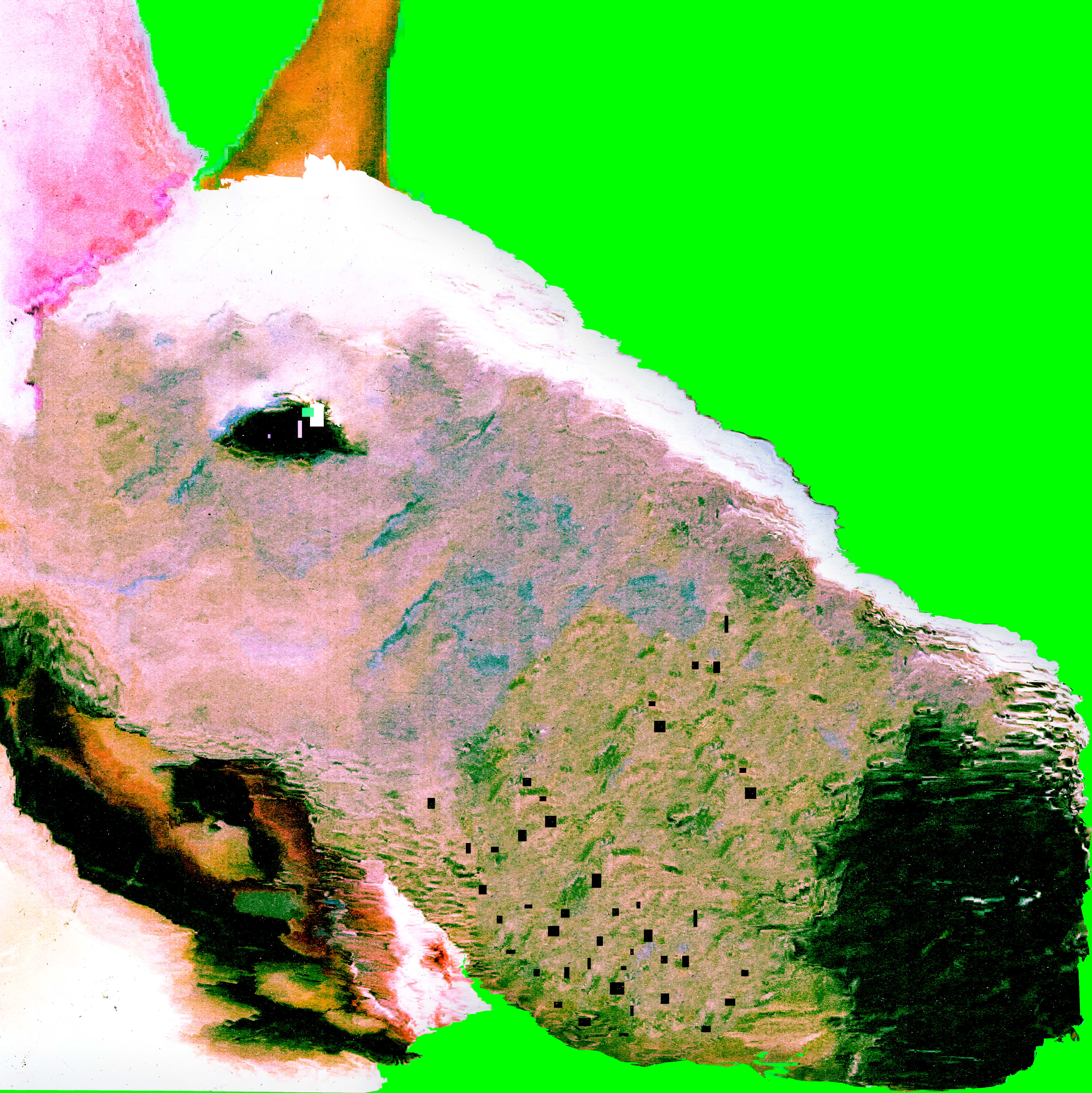 datamosh bull terrier