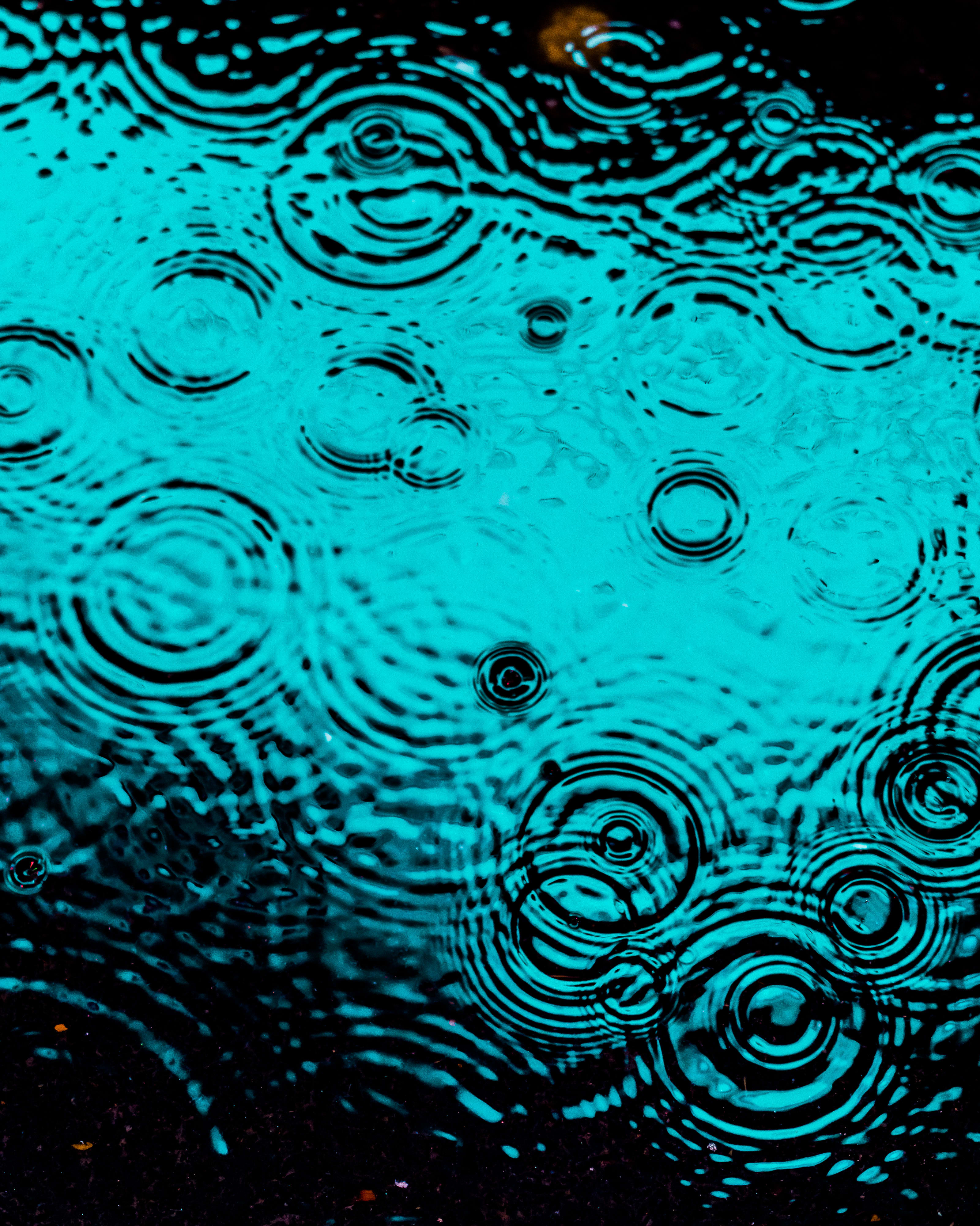 DRIP #49