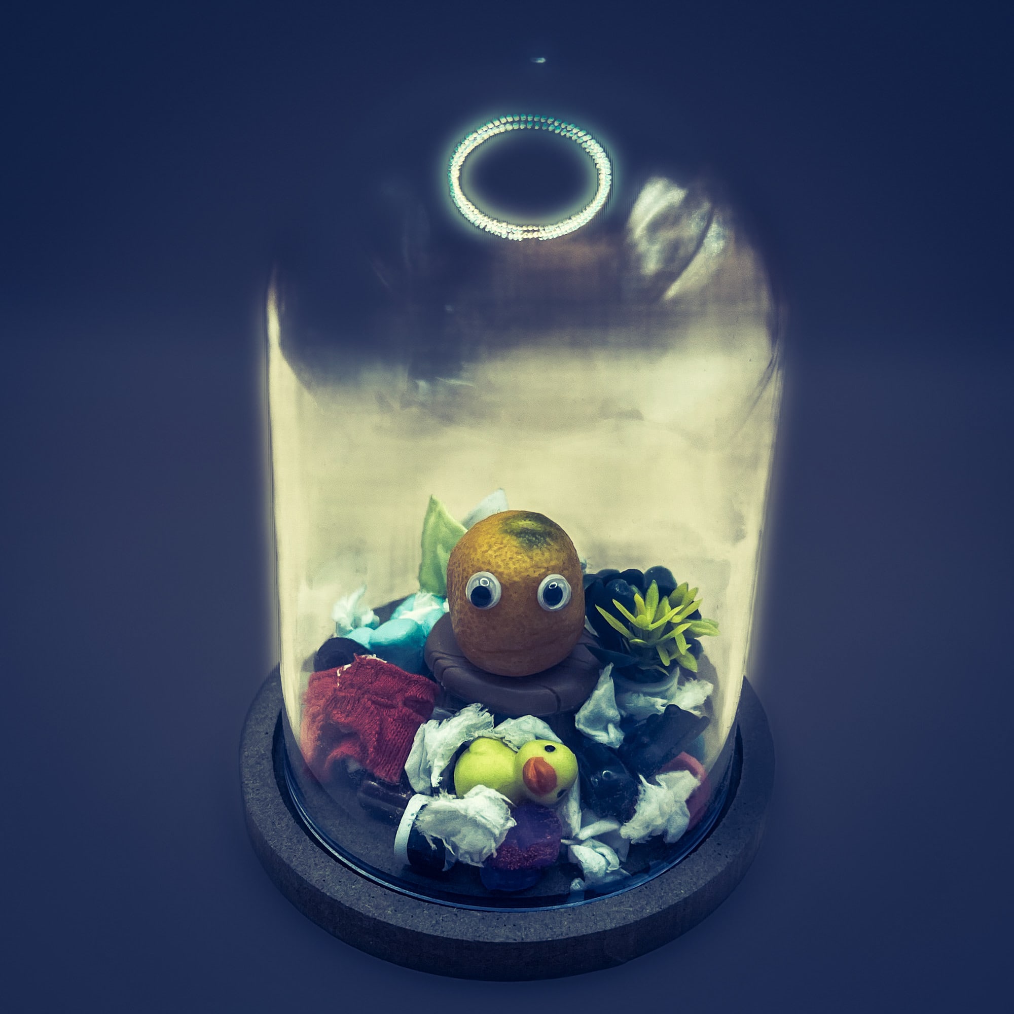 Dirty Messy Domed Kumquat