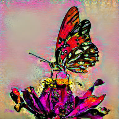 Beautiful Butterfly