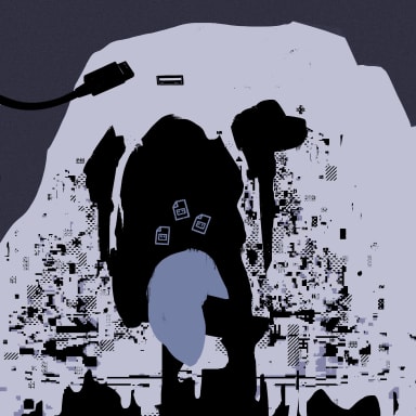 Disconnected from reality