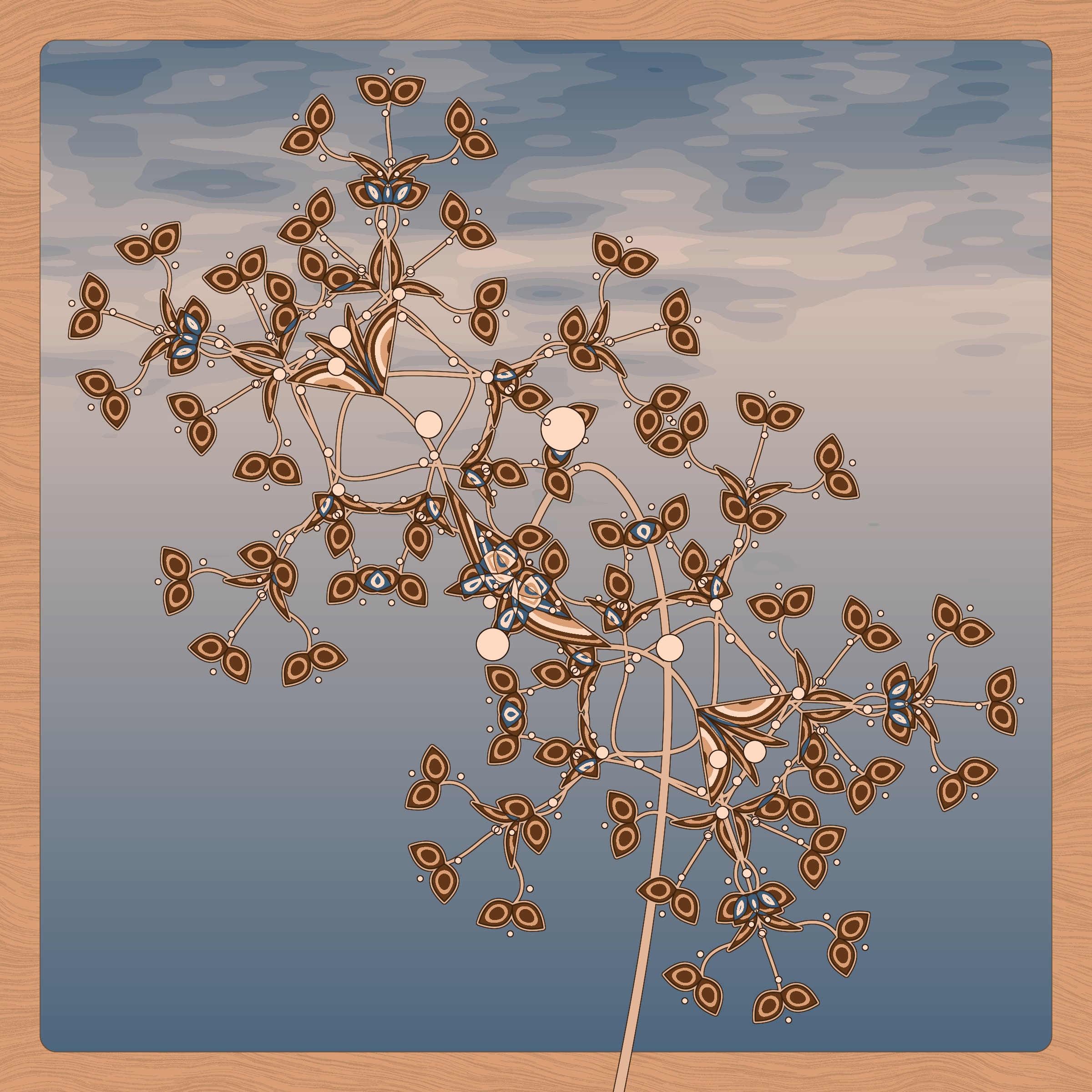 Seedlings #98