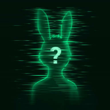 MegaRabbit #2