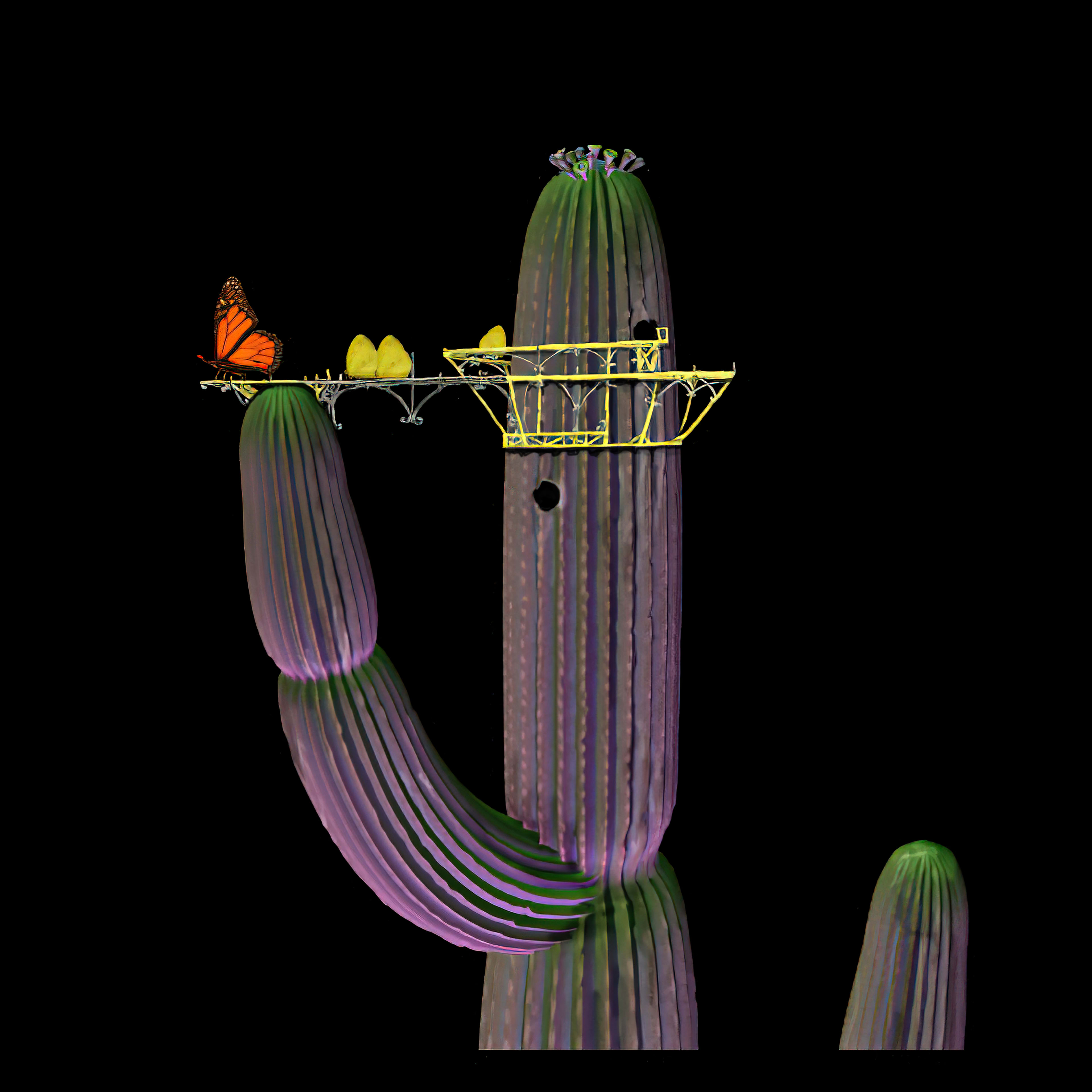 Butterfly Launchpad