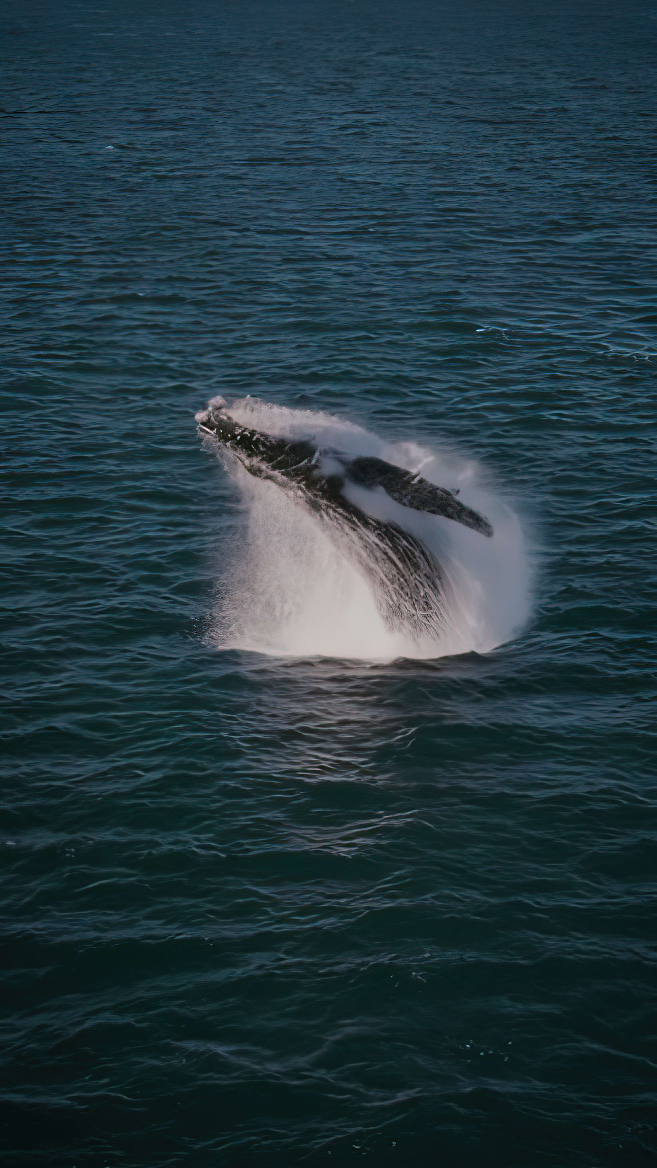 Breaching The Divide