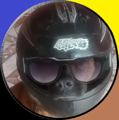 spy dog from BTC