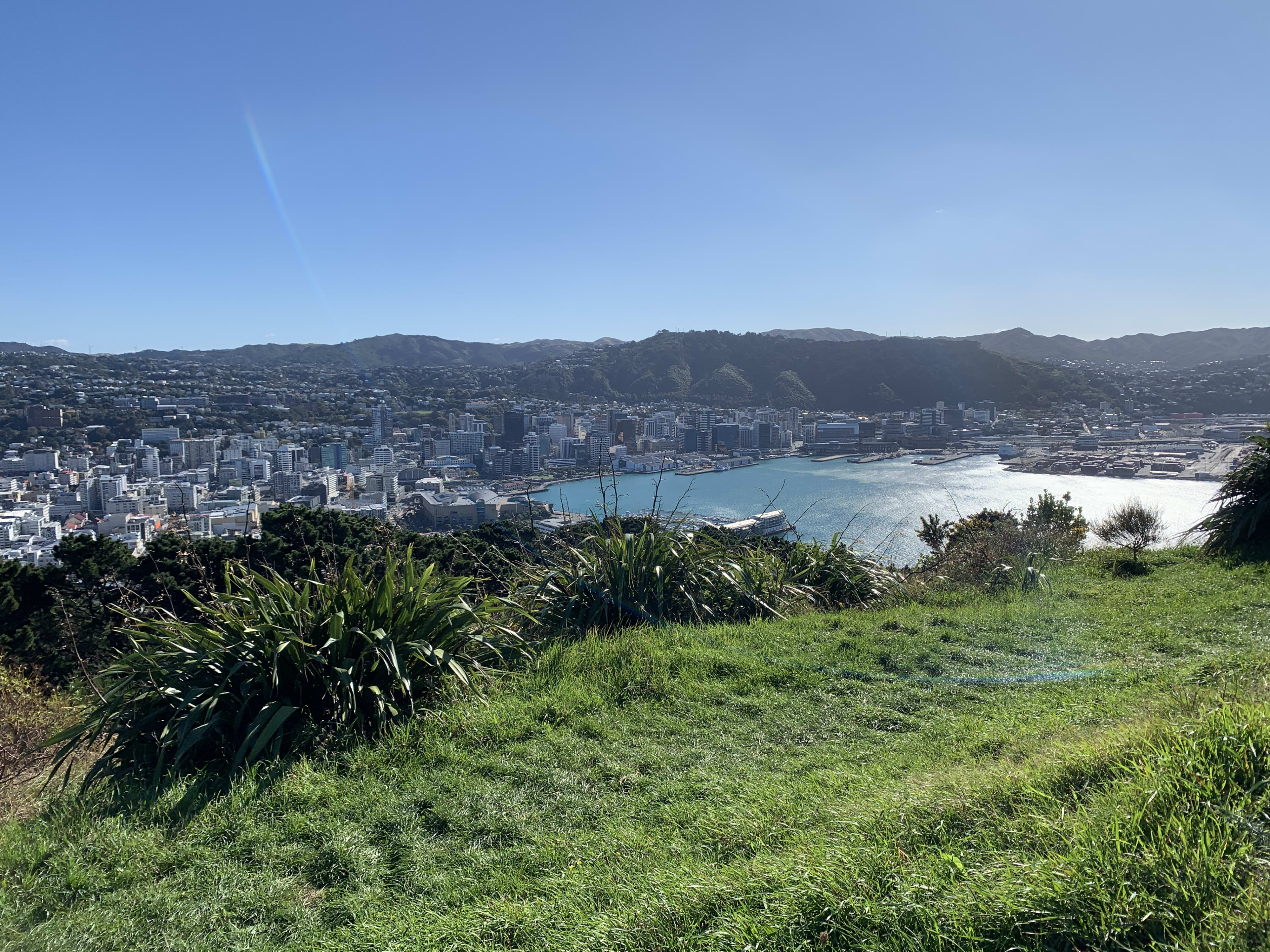City versus Nature