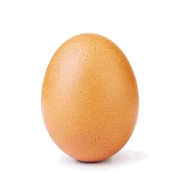 EGG