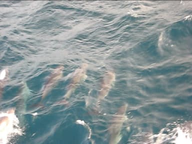 sea